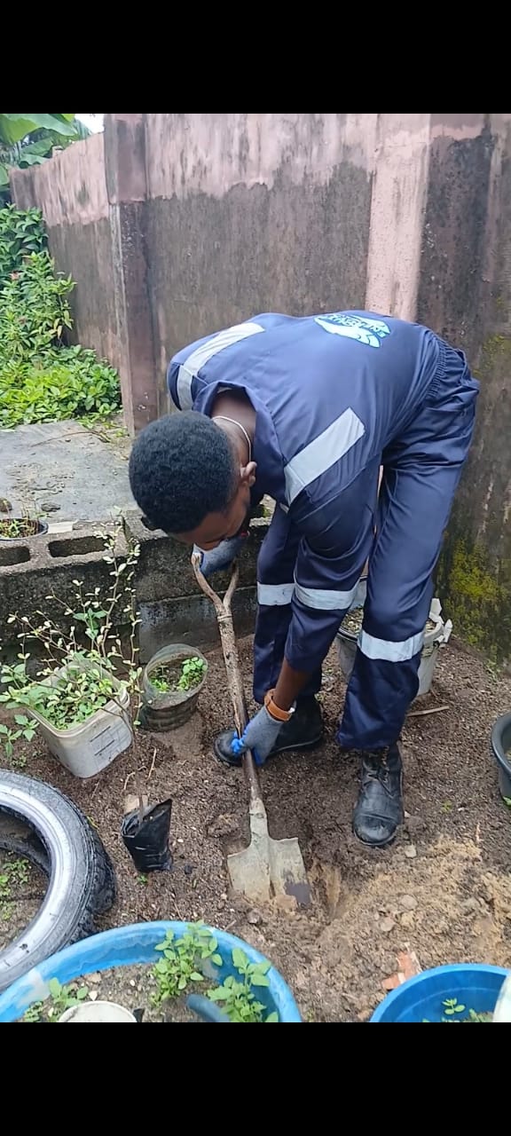 EARN volunteer tree planting in Lekki, Lagos